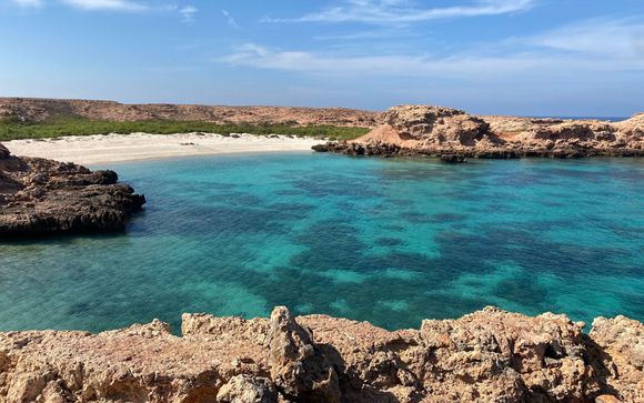 Découverte des îles Dimaniyat pour les séjours à partir de 6 nuits 