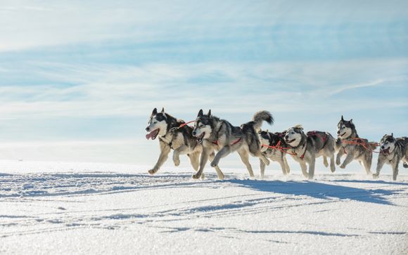 Vos options incluses pour plus d