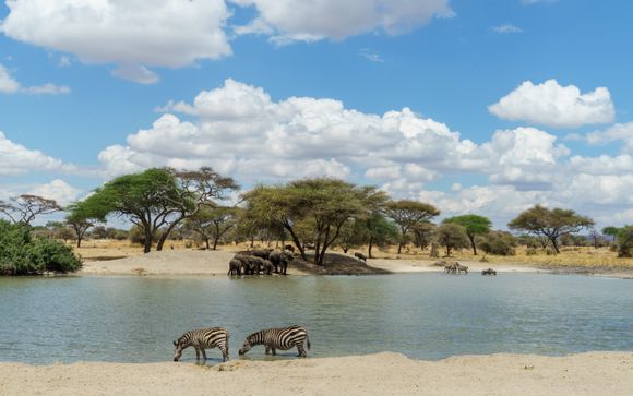 Rendez-vous... en Tanzanie