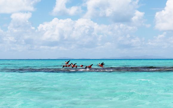 Mettez une option sur l