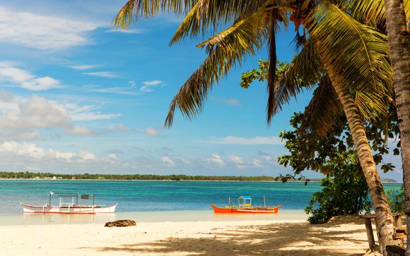 Zoom sur votre programme