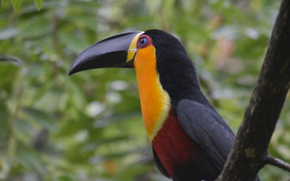 Mettez une option sur l