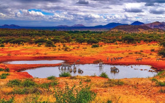 Zoom sur votre programme