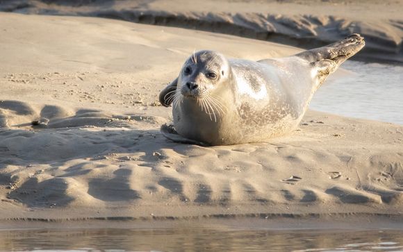 Mettez une option sur l