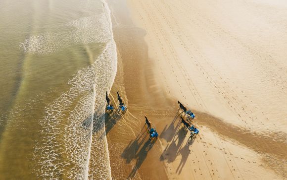 Mettez une option sur l