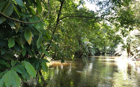 Mettez une option sur l