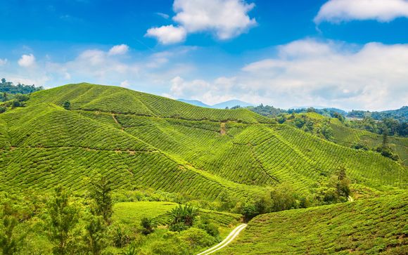 Zoom sur votre programme