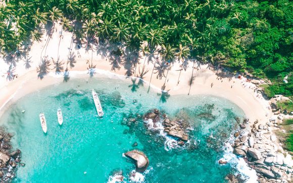 Zoom sur votre programme