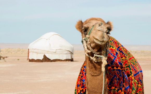 Pour votre confort durant le circuit