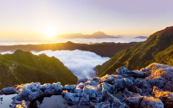 Zoom sur votre programme