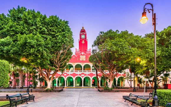 Zoom sur votre programme