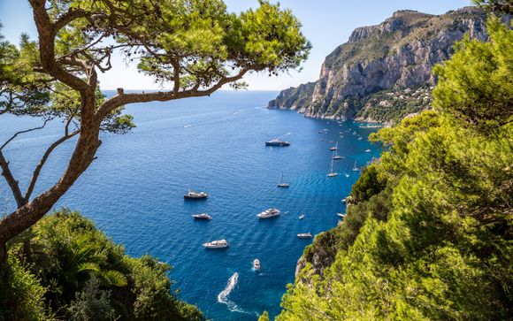 Zoom sur votre programme 