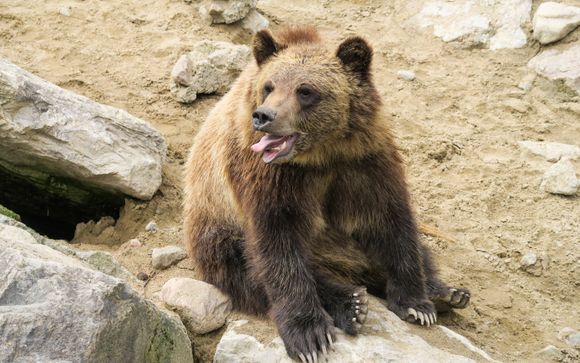 Mettez une option sur l