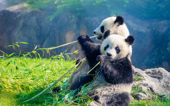 Rendez-vous... en Chine