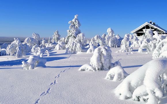 Mettez une option sur l