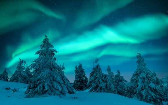 Zoom sur votre programme