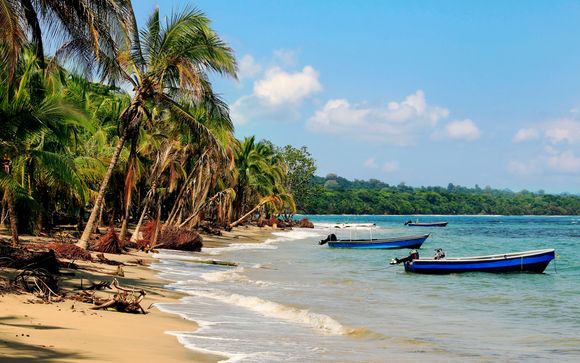 Zoom sur votre programme