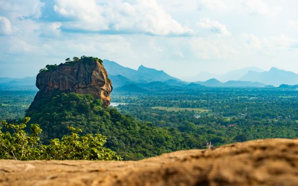 Zoom sur votre programme