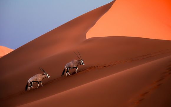 Mettez une option sur l