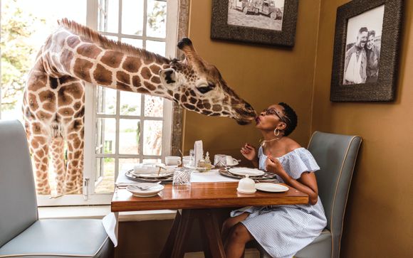 Vos options incluses