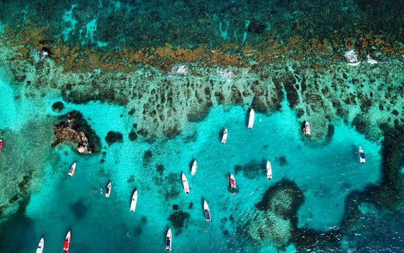 Zoom sur votre programme