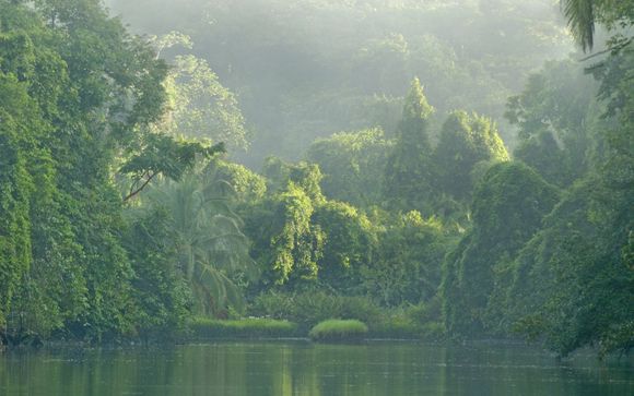 Mettez une option sur l