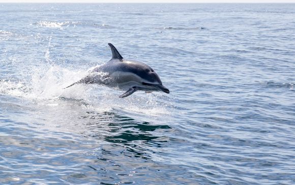 Votre option incluse pour plus de confort