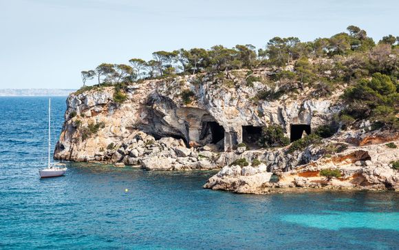 Votre option pour plus d