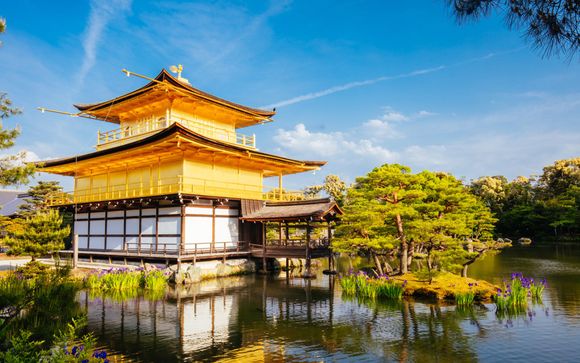 Zoom sur votre programme