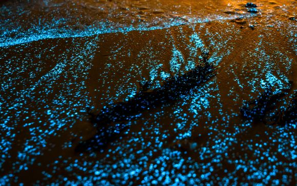 Votre programme suggéré en détail