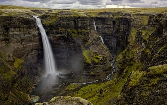 Mettez une option sur l