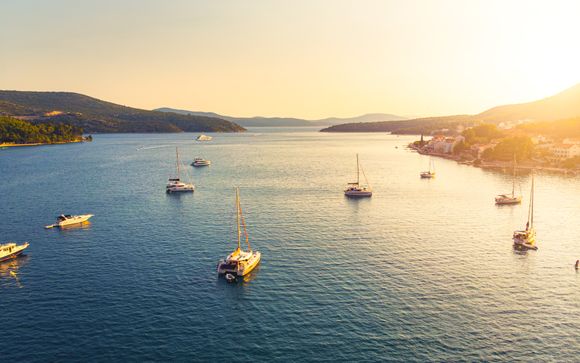 Zoom sur votre programme