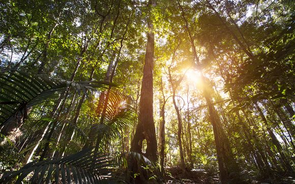 Zoom sur votre programme