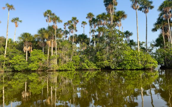 Zoom sur votre programme