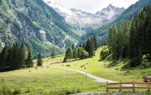 Rendez-vous... à Borca di Cadore