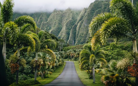 Votre circuit en un clin d'œil