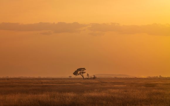Votre safari en un clin d’œil