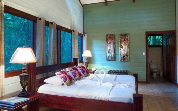 Pour votre confort durant le circuit