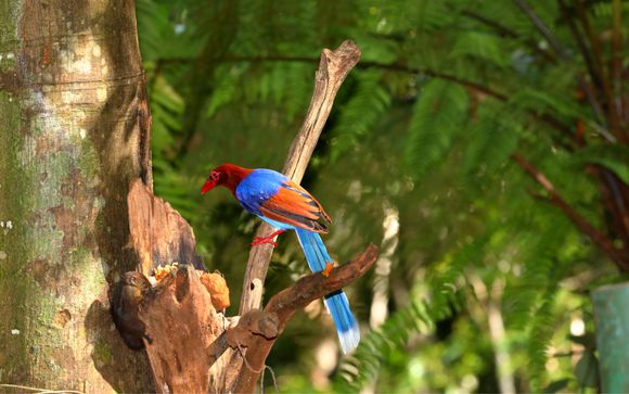 Mettez une option sur l