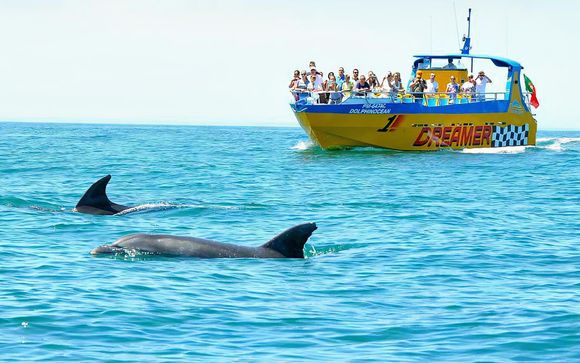 Votre excursion incluse pour plus d
