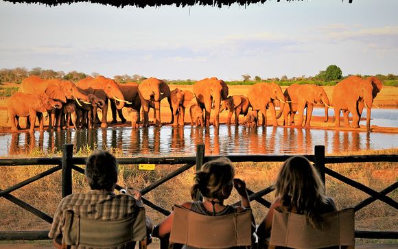 Pour votre confort durant votre nuit de safari