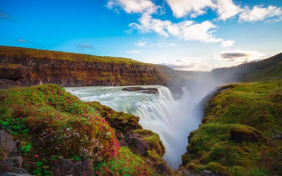 Golden Circle et Fridheimar (6h)