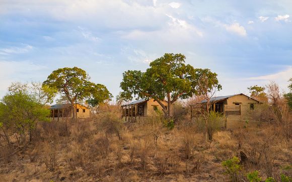 Poussez les portes du Chobe Elephant Camp
