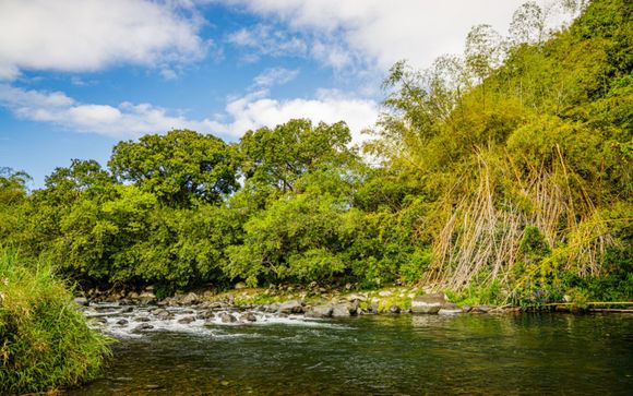 Mettez une option sur l