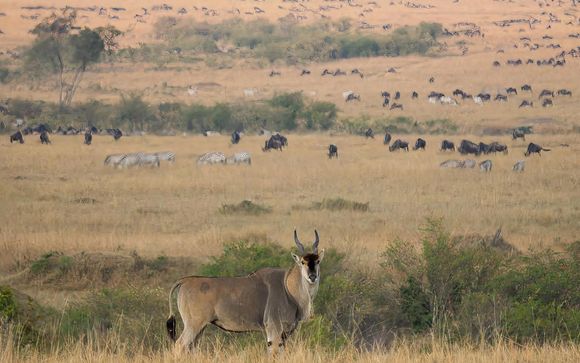Rendez-vous... en Tanzanie