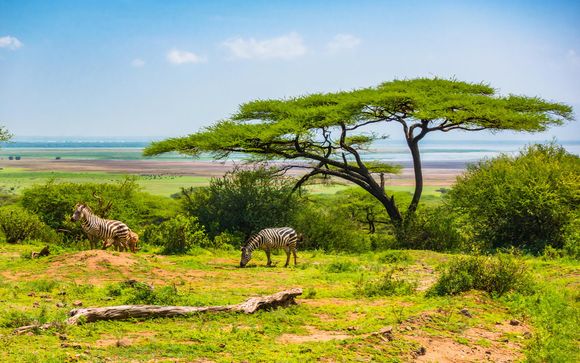 Rendez-vous...en Tanzanie