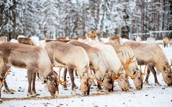 Vos activités incluses pour plus d