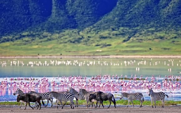 Rendez vous... en Tanzanie