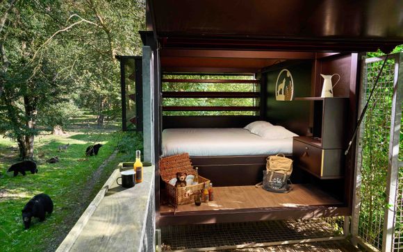 Les chambres 