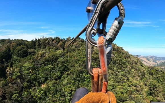 Vos excursions en option pour plus d
